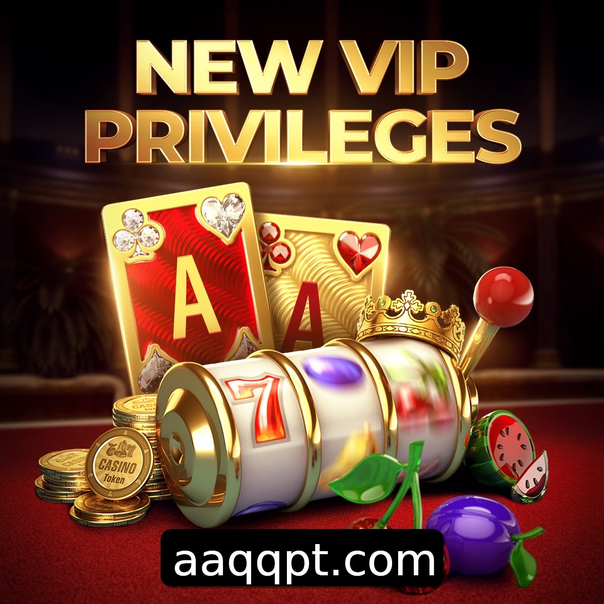 Programa VIP AAQQ